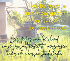 Gazon-onderhoud Gazon-onderhoud